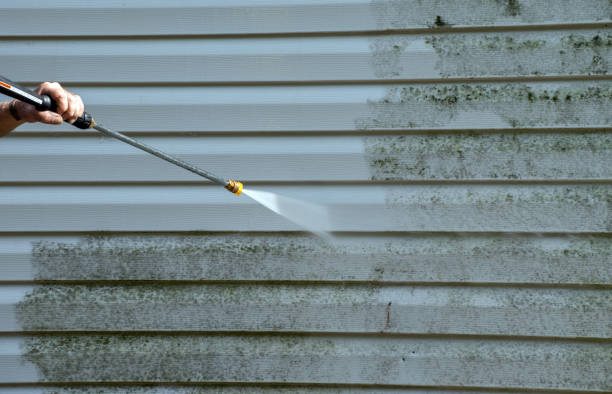 Best Fast Mold Removal  in Ballville, OH