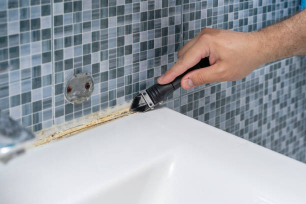 Best Mold Remediation  in Ballville, OH