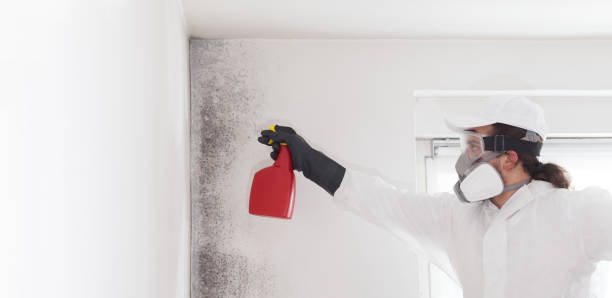 Best Crawl Space Mold Removal  in Ballville, OH