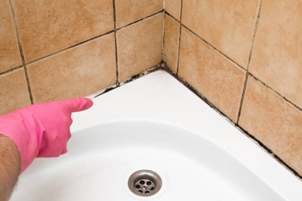 Best Water Damage Restoration  in Ballville, OH